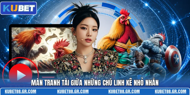 Màn tranh tài giữa những chú linh kê nhỏ nhắn