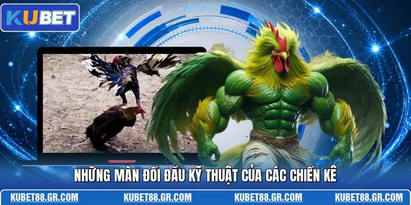 Những màn đối đầu kỹ thuật của các chiến kê
