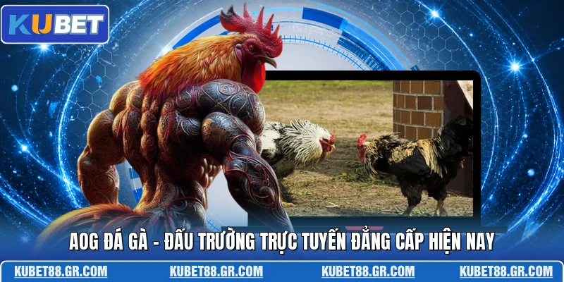 AOG Đá Gà